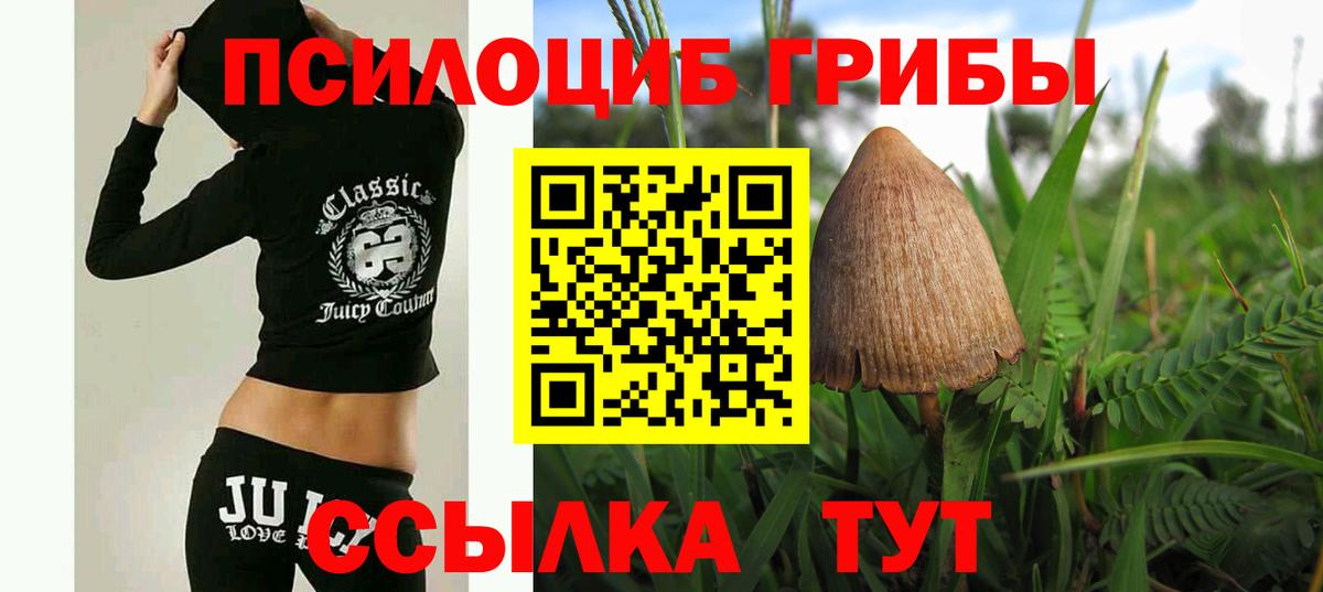 Галлюциногенные грибы Cubensis Славянск-на-Кубани